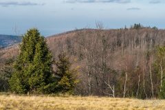 Widok z Potrójnej na zachód