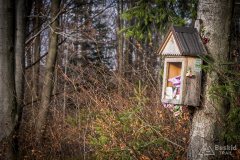 Na zielonym szlaku z Gibasów na Ścieszków Groń