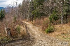 Na zielonym szlaku z Gibasów na Ścieszków Groń