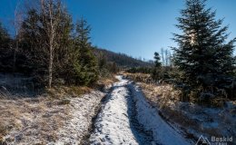 img_2068