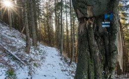 img_2071