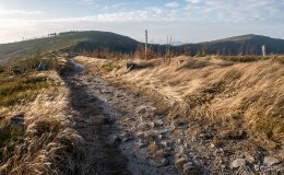 Na czerwonym szlaku pomiędzy Magurką Wiślańską a Radziechowską