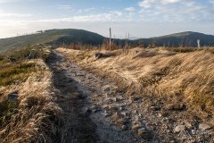 Na czerwonym szlaku pomiędzy Magurką Wiślańską a Radziechowską