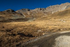 IMG_5363