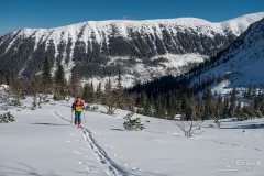 IMG_2178