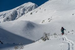 IMG_2184