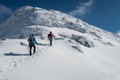 IMG_2221