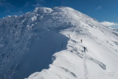 IMG_2226
