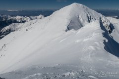 IMG_2228