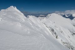 IMG_2231