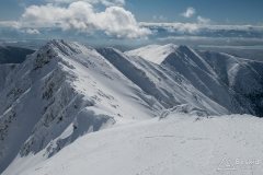 IMG_2236