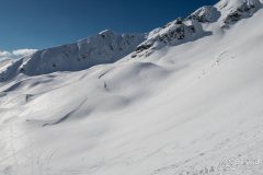 IMG_2260