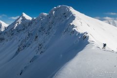 IMG_2262