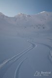 IMG_2278
