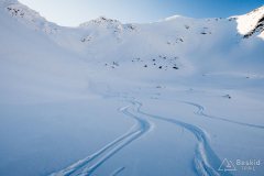 IMG_2279
