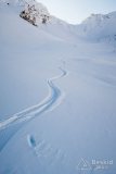 IMG_2281