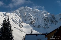 IMG_2285