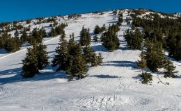 IMG_2371