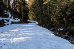 IMG_2326