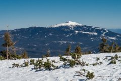 IMG_2335