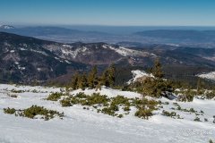 IMG_2336