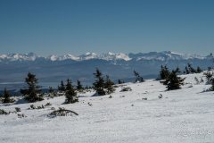 IMG_2338