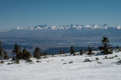 IMG_2339