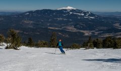 IMG_2350
