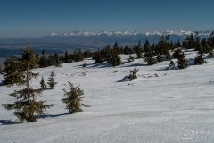IMG_2364