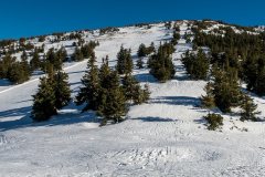 IMG_2371