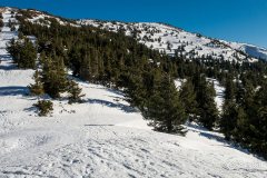IMG_2372