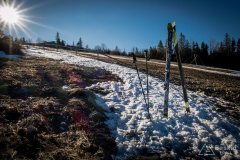IMG_2377