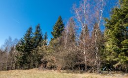 img_2391