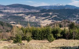 img_2400