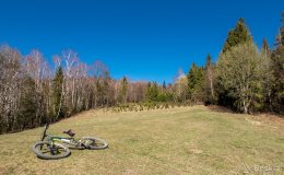 img_2401