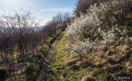 img_2416