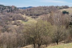 img_2386