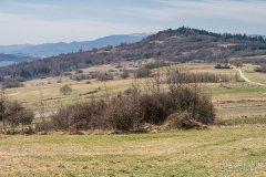 img_2389