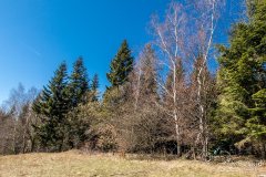 img_2391