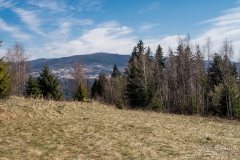 img_2392