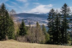 img_2397