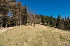 img_2398