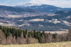 img_2399