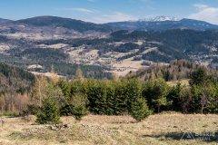img_2400