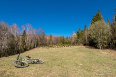 img_2401