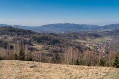 img_2406