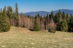 img_2407
