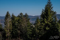 img_2411