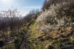 img_2416