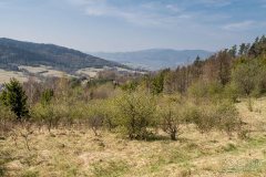 img_2419